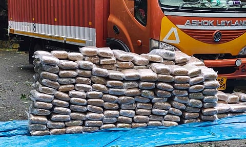 The ganja bricks seized by the NCB sleuths on Tuesday&nbsp;