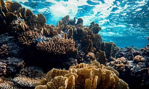 Representative Image&nbsp;