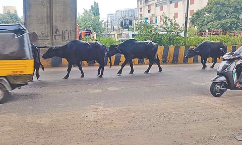 Representative Image&nbsp;