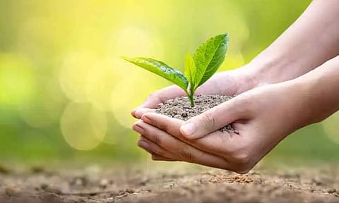 Representative Image&nbsp;