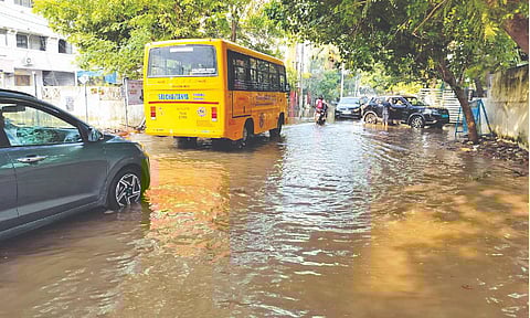 Stagnant rain water in Iyyappanthangal