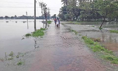 People wading through a flooded farmland in Thanjavur on Saturday