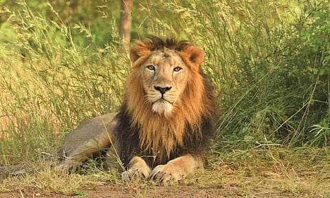 Representative Image