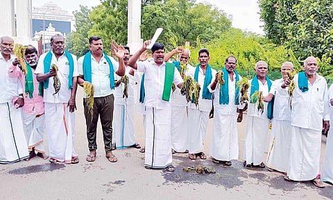 Farmers stage protest with damaged crops in Tiruchy (file photo)