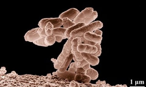 Representative Image (IANS)