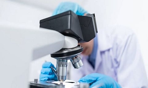 Representative Image (ANI)