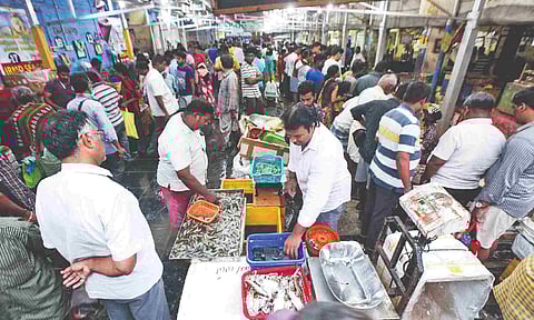 Chintadripet fish market&nbsp;