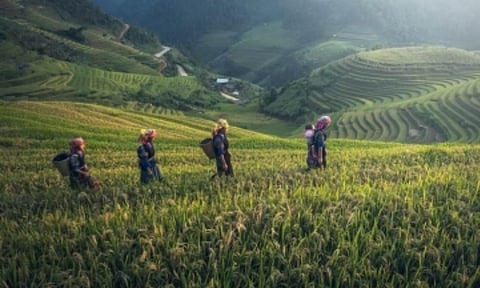 Representative Image (IANS)