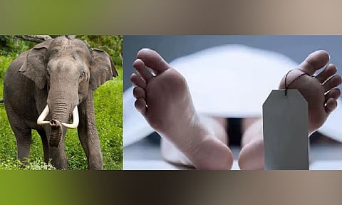 Representative Image&nbsp;