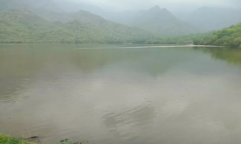 &nbsp;Karuppanadhi dam in Tenkasi (Maalaimalar)