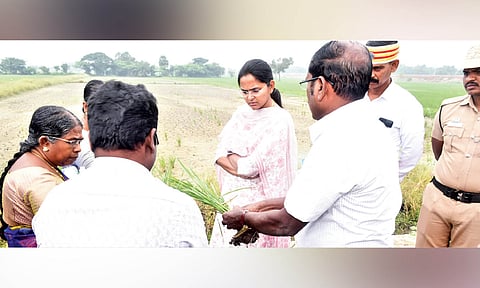 Tiruvarur District Collector T Charusree interacts with farmers during an inspection