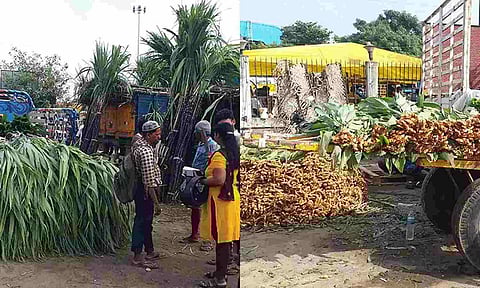 Pongal special market at Koyambedu (Maalaimalar)