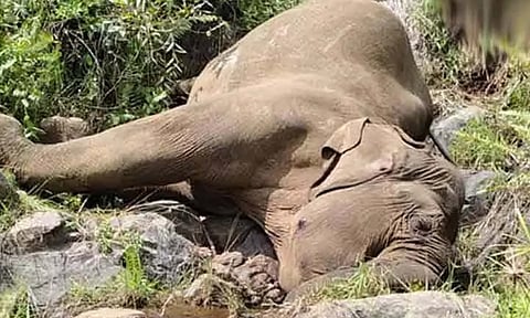 Representative Image