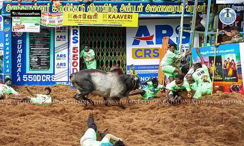 Representative image (Hemanathan M)