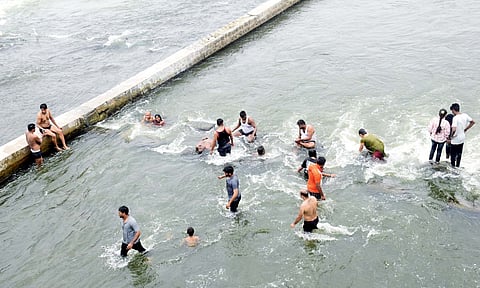 People revel in Cauvery river during Kanum Pongal