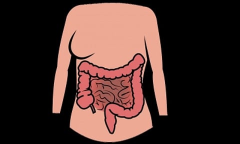 Representative Image (IANS)