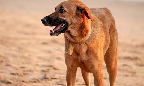 Representative Image&nbsp;