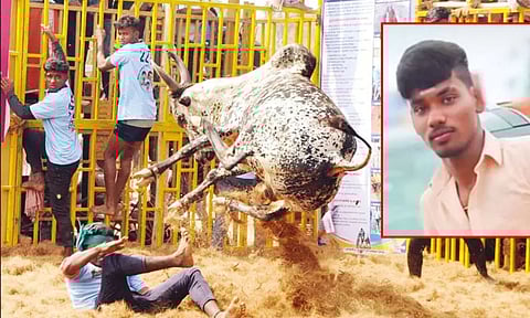 Jallikattu event, Thomas Alva Edison (Daily Thanthi)