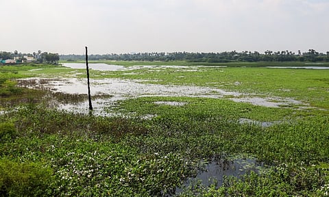 Representative Image&nbsp;