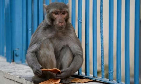 Representative Image (AP)