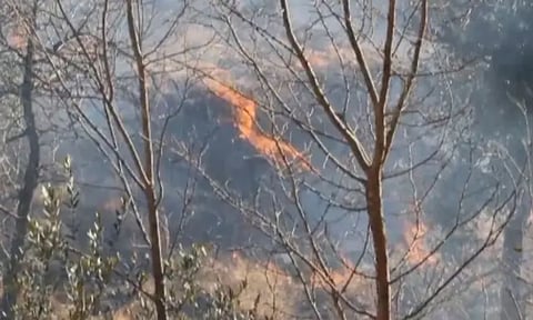 Representative Image (X)