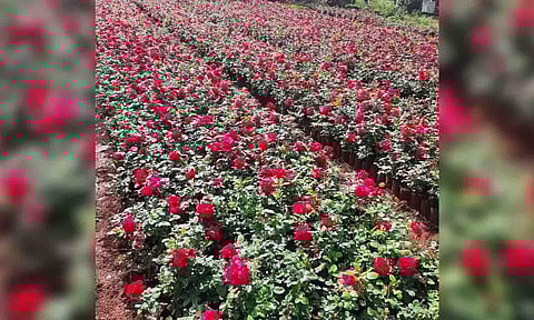 Representative Image&nbsp;