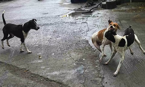 Representative Image&nbsp;