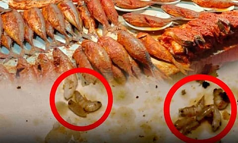 Worms found in fried fish (Thanthi TV)