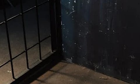 Representative Image (Pexels)&nbsp;