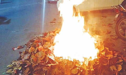 Public burning leaves near parked vehicles on Patel Road&nbsp;