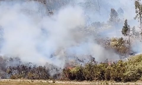 Representative Image&nbsp;