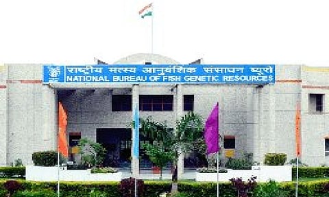 National Bureau of Fish Genetic Resources (Photo:X-@@icar_nbfgr)