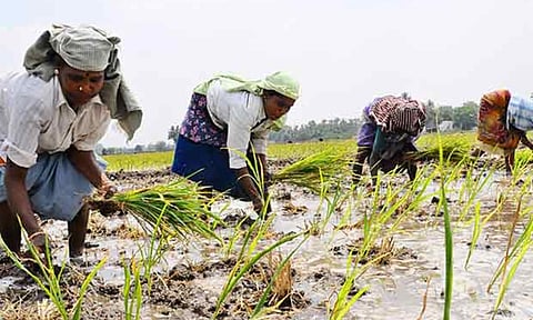 Representative Image&nbsp;