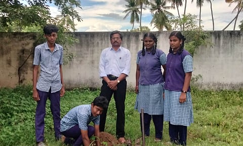 National Green Corps of a government school in Pudukkottai planting trees as a part of augmenting green cover