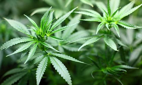 Representative Image&nbsp;