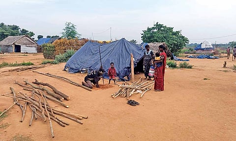 Sale deed pending for 143 settlement sites across Tamil Nadu