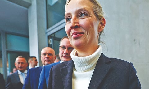 Alice Weidel&nbsp;