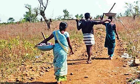 TN government to appoint ombudspersons in 14 districts to improve transparency in implementation of MGNREGA scheme