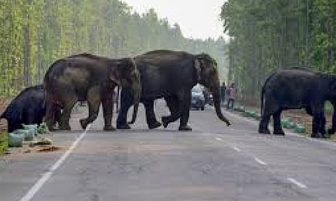 Representative Image (PTI)&nbsp;