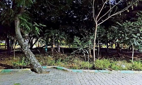 Poor lighting has deterred women from visiting one of the largest parks