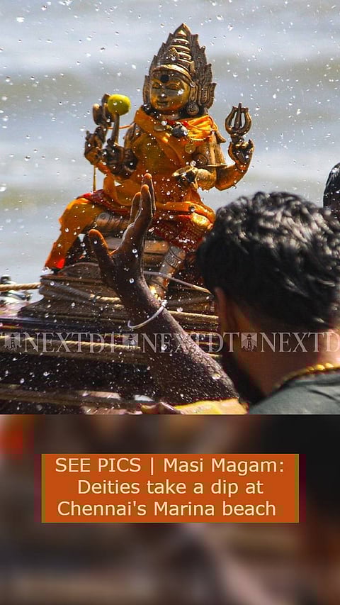 SEE PICS | Masi Magam: Deities take a dip at Chennai's Marina beach