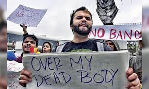 Impact of refugee resettlement in US