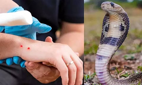 Representative Image&nbsp;