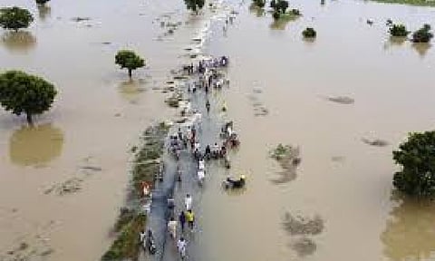 Sand-sized fossils hold secrets to history of climate change