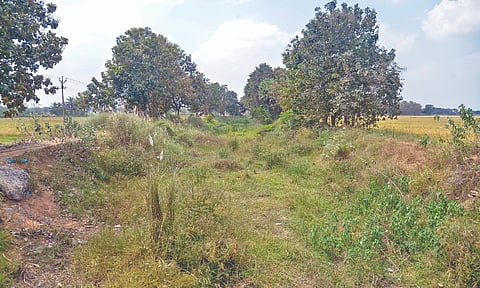 Poor state of irrigation canal at Valamirankottai near Kattur