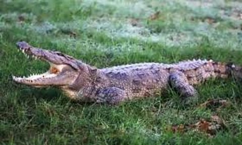 Representative Image&nbsp;