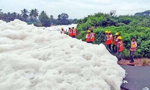 Foaming of Thenpennai river near Hosur in Krishnagiri (file photo)