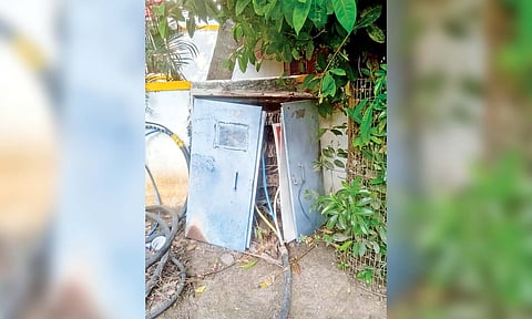 One of the neglected EB distribution pillar boxes&nbsp;