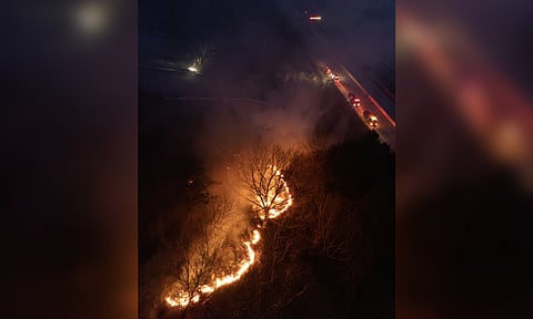 Massive wildfires that ravaged South Korea's North Gyeongsang Province