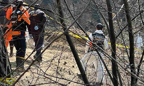 Visual from spot (AP)